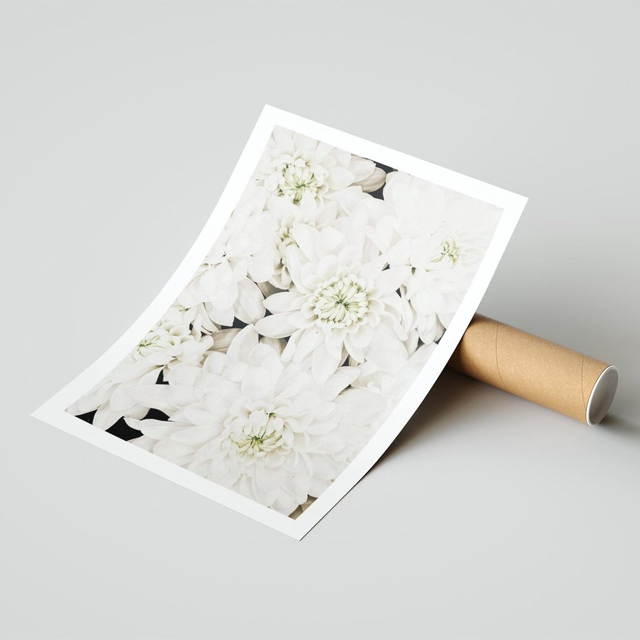 Plakat bez ramy 21x30 - Białe Kwiaty: Płatki Delikatności - białe kwiaty, zbliżenie