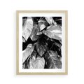Plakat w ramie 40x50 - Liście w Czarno-Białej Fotografii - liście, roślina - rama drewno