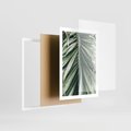 Plakat w ramie 50x70 - Spokojna Piękność Palmowych Liści - palma, liście palmy - rama biała