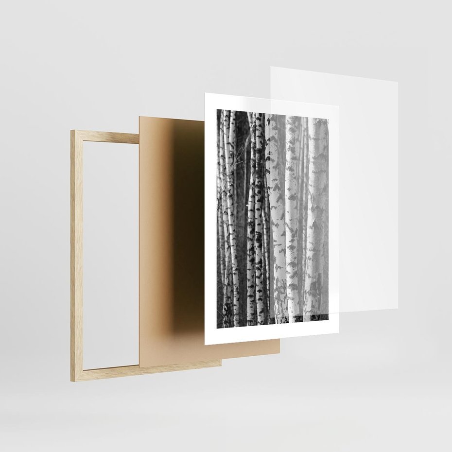Plakat w ramie 30x40 - Kontrast Monochromatyczny - brzozy, czarno - rama drewno