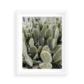 Plakat w ramie 40x50 - Kaktusowa Harmonia - kaktusy, fotografia - rama biała