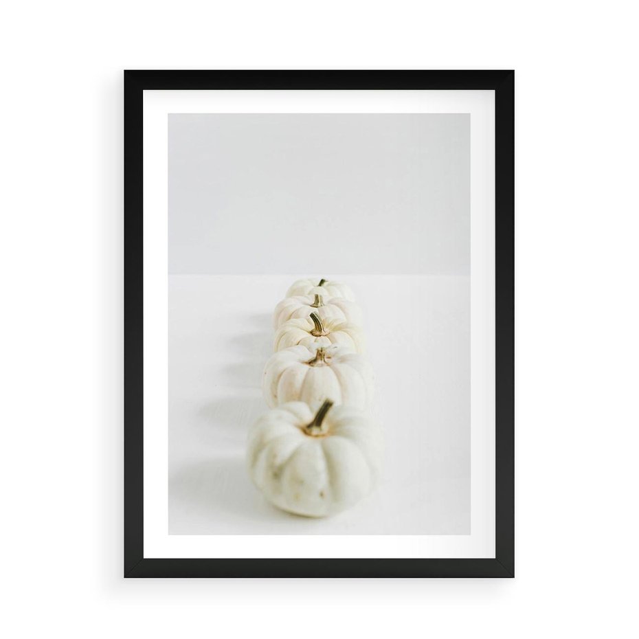 Plakat w ramie 50x70 - Białe Dynie - białe dynie, jesień - rama czarna