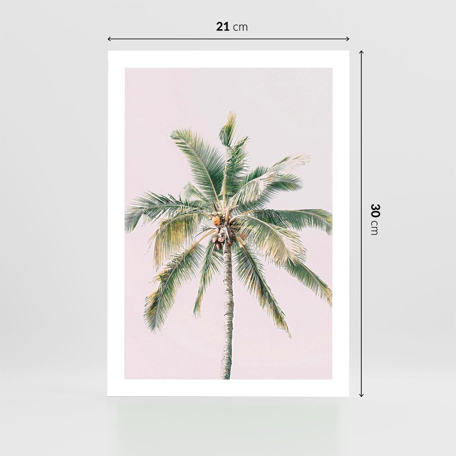 Plakat bez ramy 21x30 - Błogość Tropików - palma, tropiki