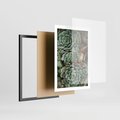 Plakat w ramie 50x70 - Zielona Uroda Sukulentów - sukulenty, zielone liście - rama czarna