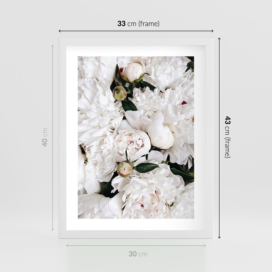 Plakat w ramie 30x40 - Modne Białe Kwiaty - białe kwiaty, płatki - rama biała