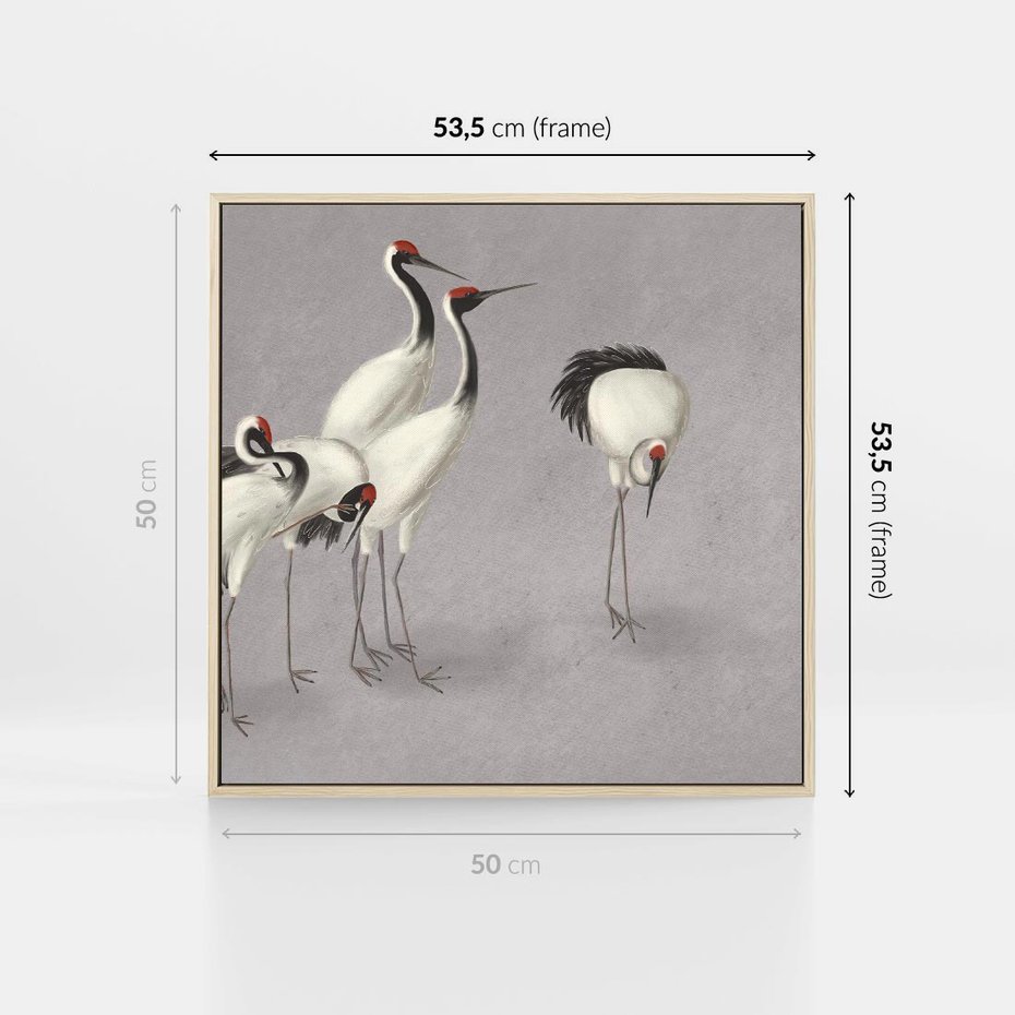 Obraz w ramie 50x50 - Spojrzenie wstecz w pędzlu - szkic rysunek, japońskie żurawie - rama drewno
