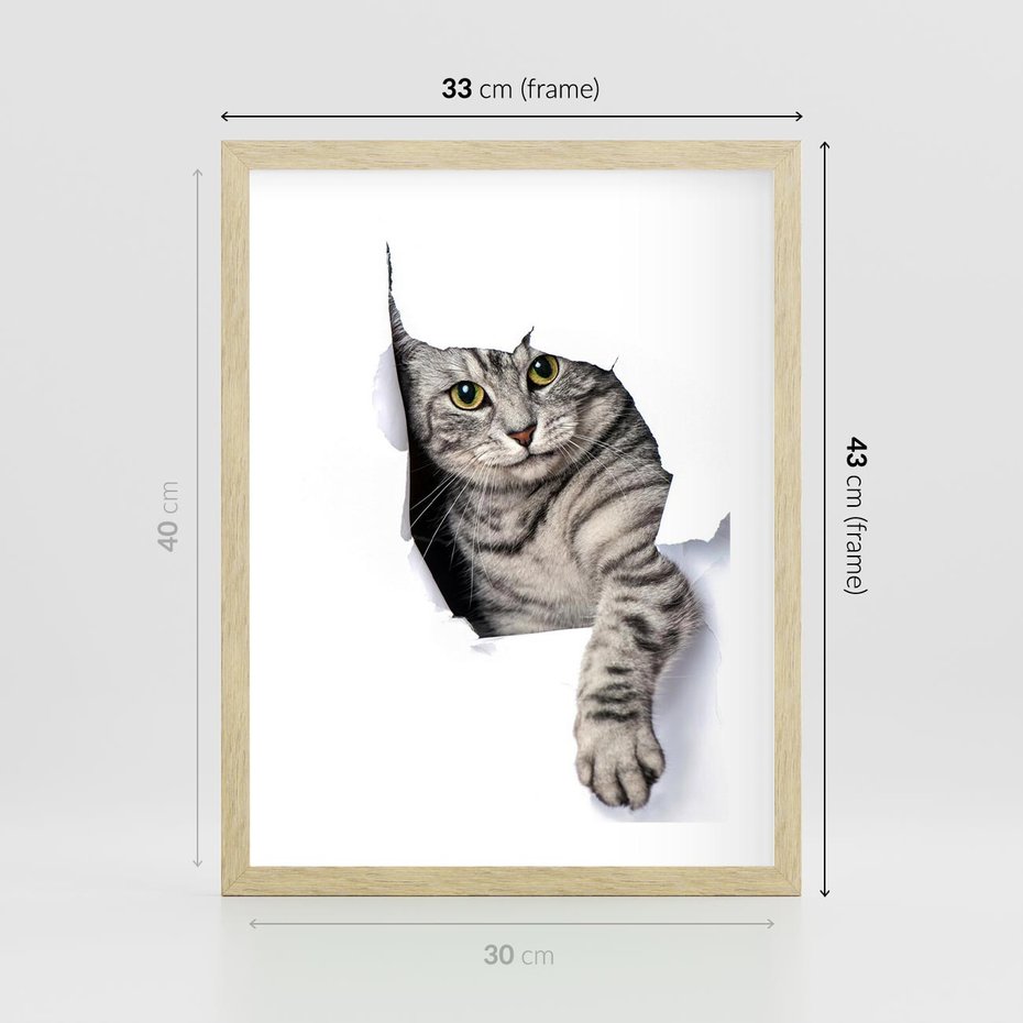 Plakat w ramie 30x40 - Tajemniczy kot i jego świat - kot, dziura - rama drewno