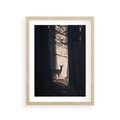 Plakat w ramie 30x40 - Sarnie Skoki - zdjęcie, klimatyczny las - rama drewno