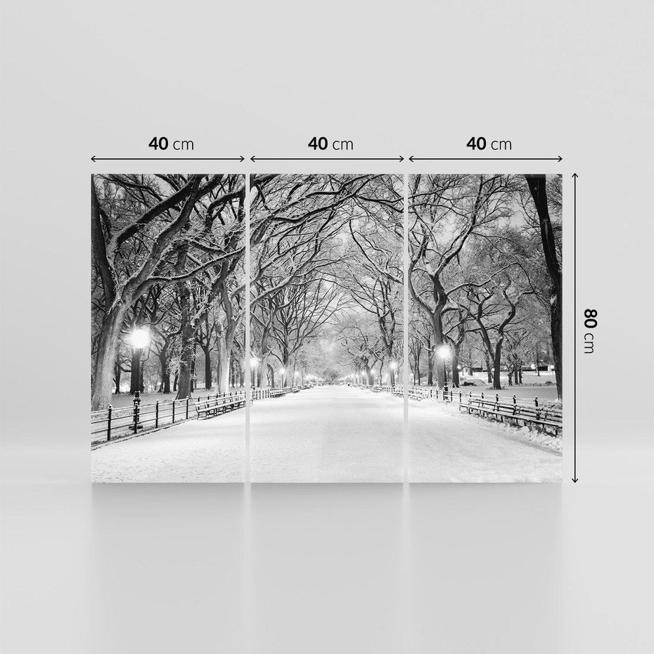 Obraz na płótnie 120x80 - cisza wśród drzew - zima, park