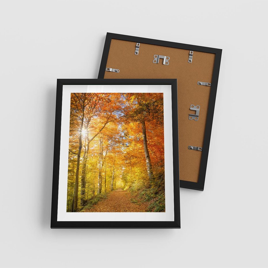Plakat w ramie 40x50 - Złote barwy jesiennego lasu - las, jesień - rama czarna
