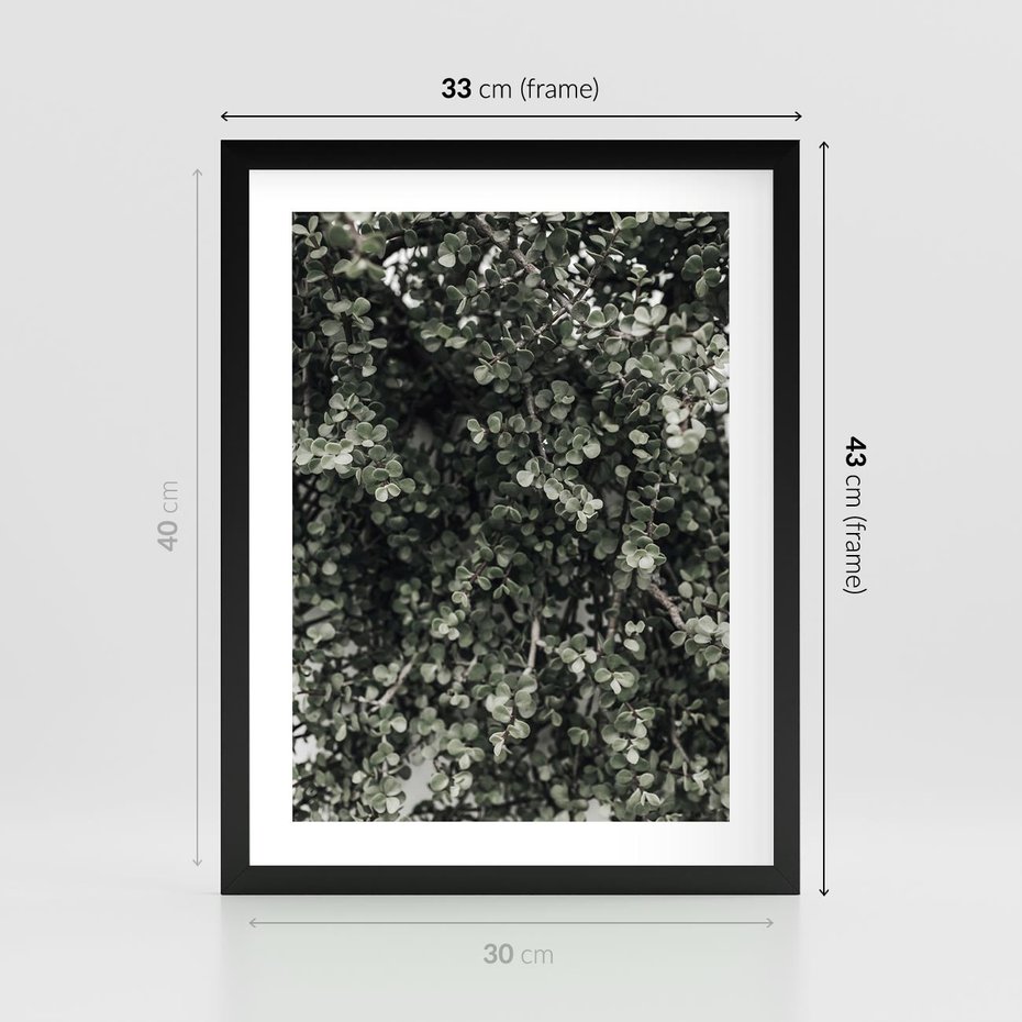 Plakat w ramie 30x40 - Jasnozielone Liście i Gałązki - liście, gałązki - rama czarna