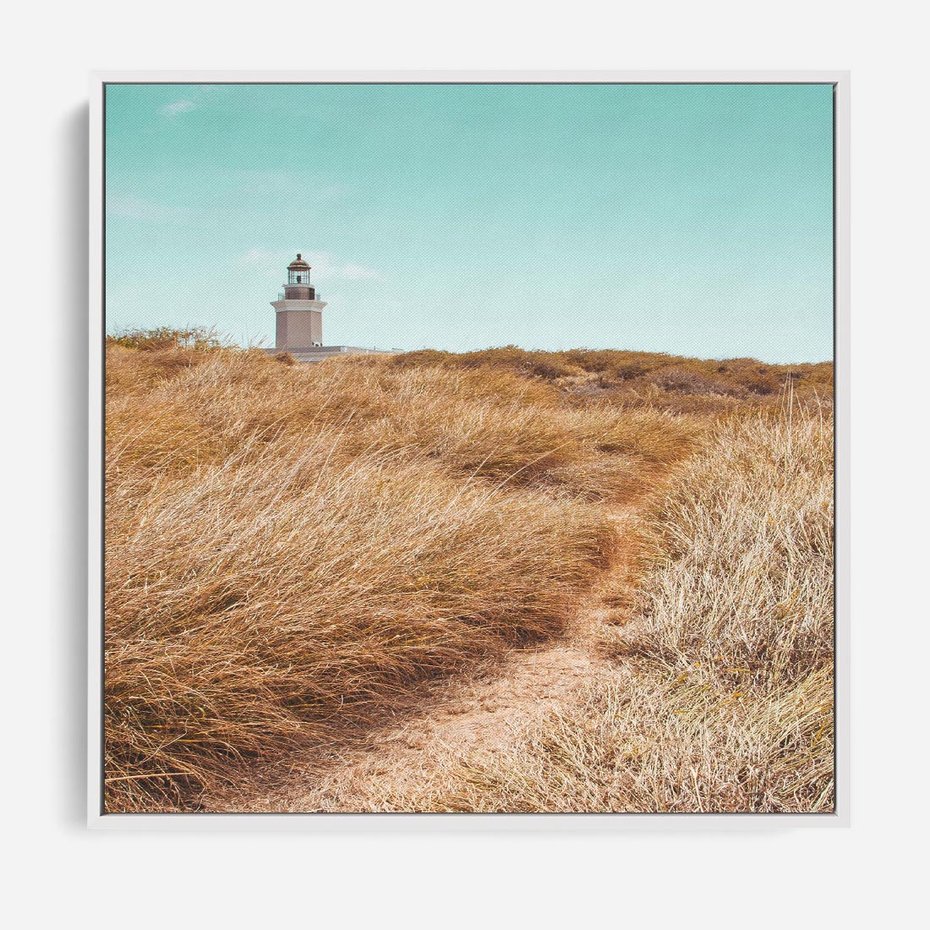 Obraz w ramie 50x50 - Tajemnicza Ścieżka - latarnia morska w oddali, suche trawy - rama biała