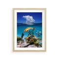 Plakat w ramie 30x40 - Podwodna rafa koralowa: kolorowy oceanowy świat - rafa, koralowa - rama drewno