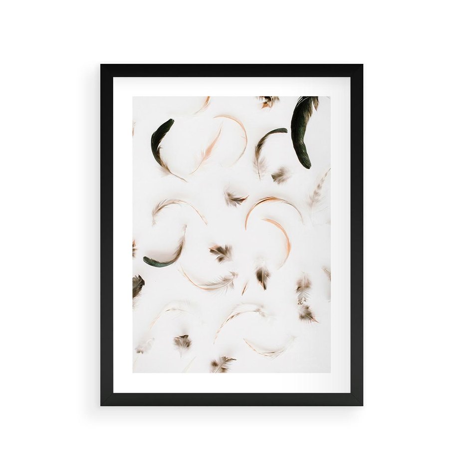 Plakat w ramie 30x40 - Kompozycja z Piór - pióra, kompozycja - rama czarna