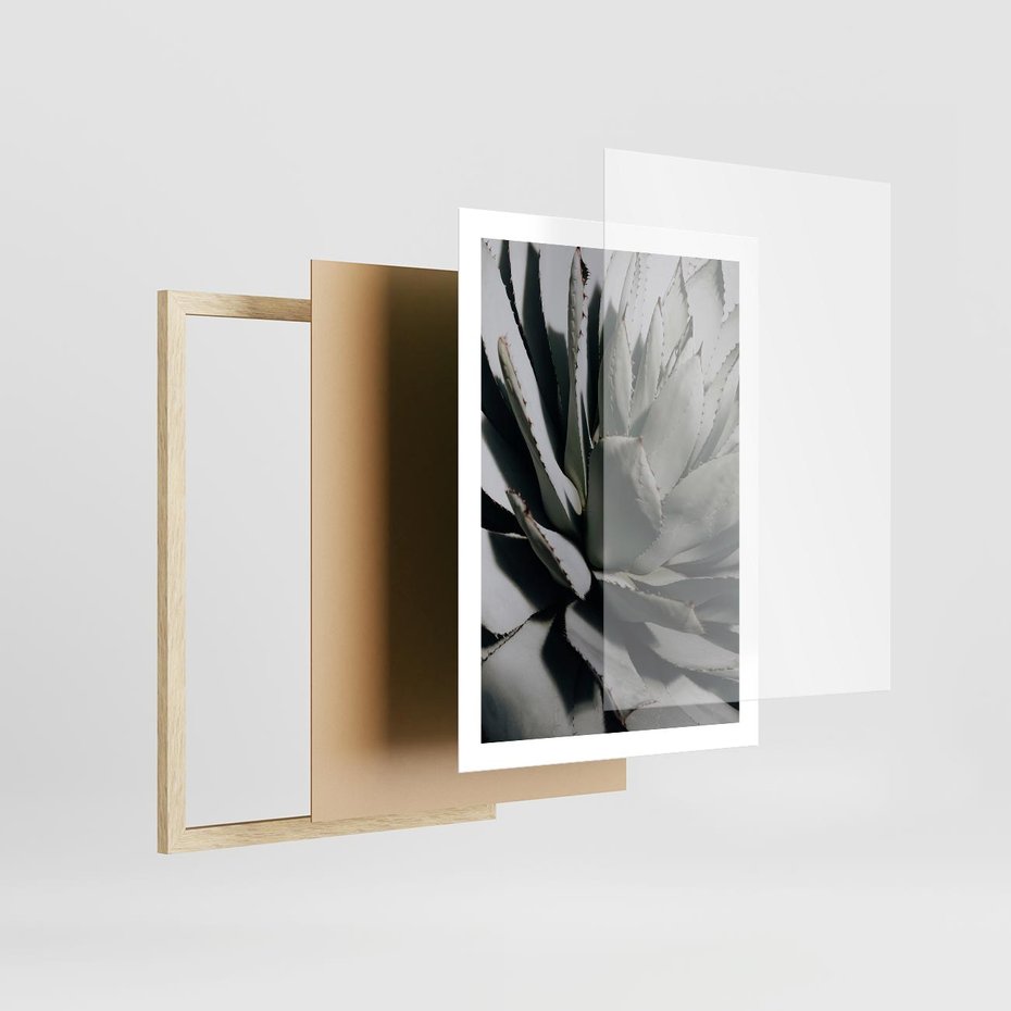 Plakat w ramie 50x70 - Sukulenty wśród kaktusów - sukulenty, kaktusy - rama drewno