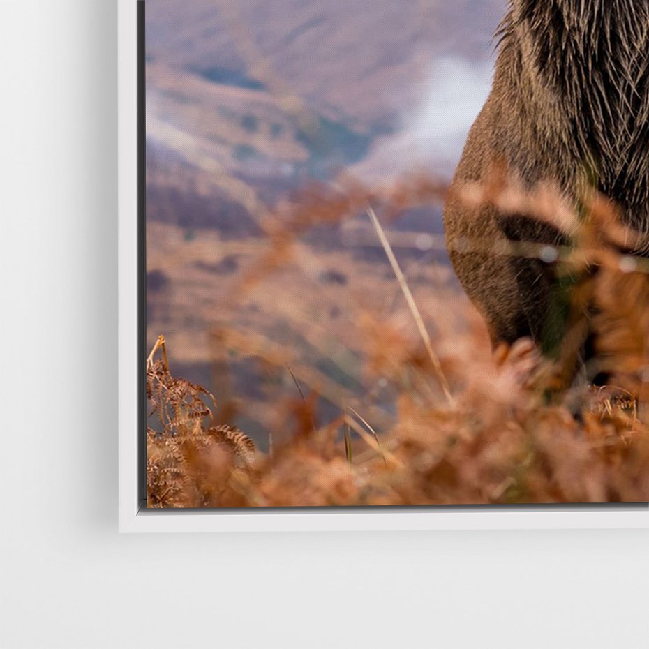 Obraz w ramie 80x120 - Jeleń w Uśpionym Krajobrazie - jeleń na tle gór, ośnieżone góry - rama biała