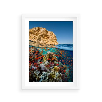 Plakat w ramie 50x70 - Rafa koralowa w oceanie - rafa, koralowa - rama biała
