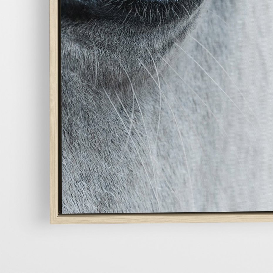 Obraz w ramie 70x100 - Oko Mocy - czarno białe zdjęcie, zbliżenie makro na oko konia - rama drewno