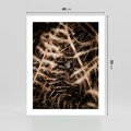 Plakat bez ramy 40x50 - Liście i Paprocie - suche liście, paprocie