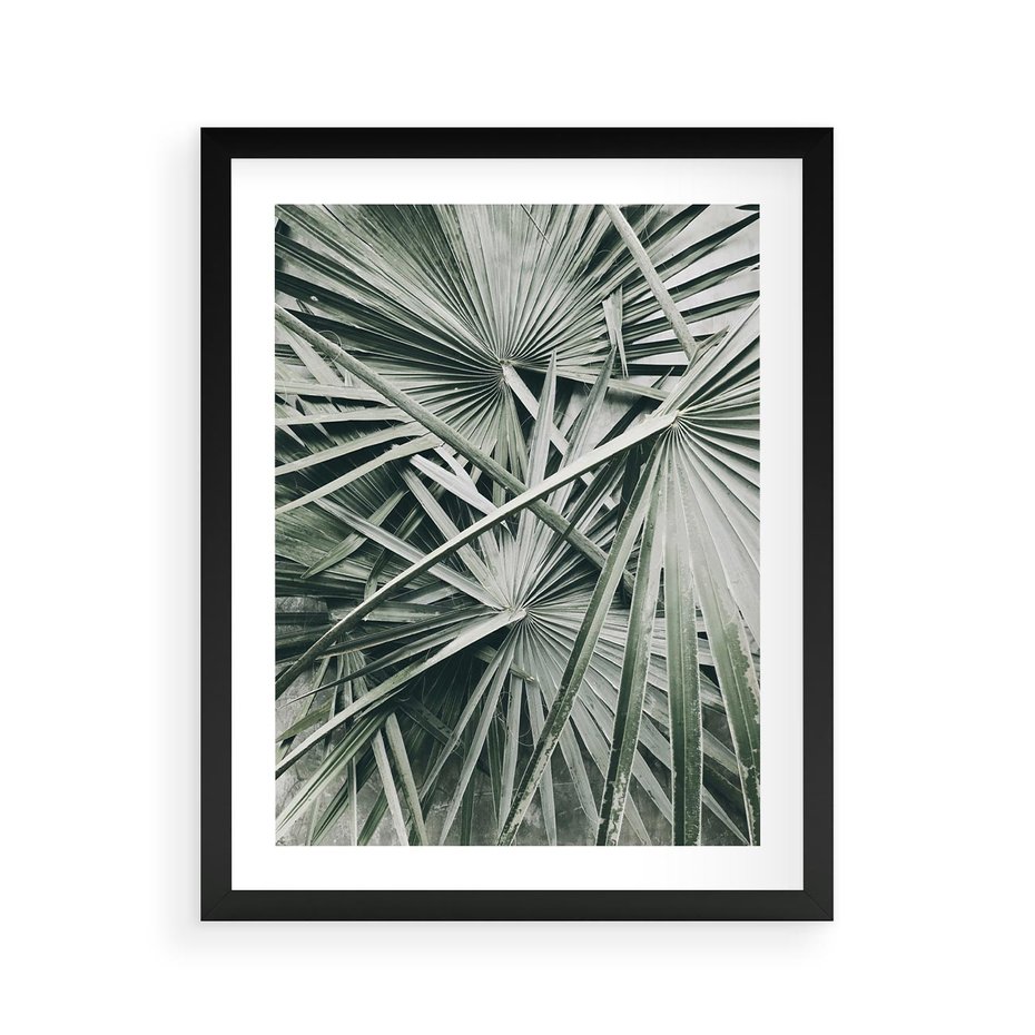 Plakat w ramie 40x50 - Palmy w Zgaszonej Zieleni - palmy, tropikalne liście - rama czarna