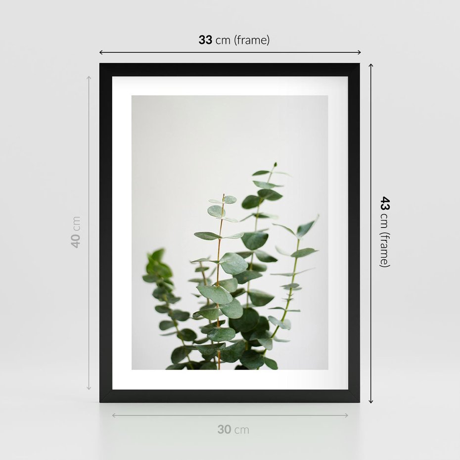 Plakat w ramie 30x40 - Żywa eukaliptusowa zieleń - eukaliptus, zielone - rama czarna