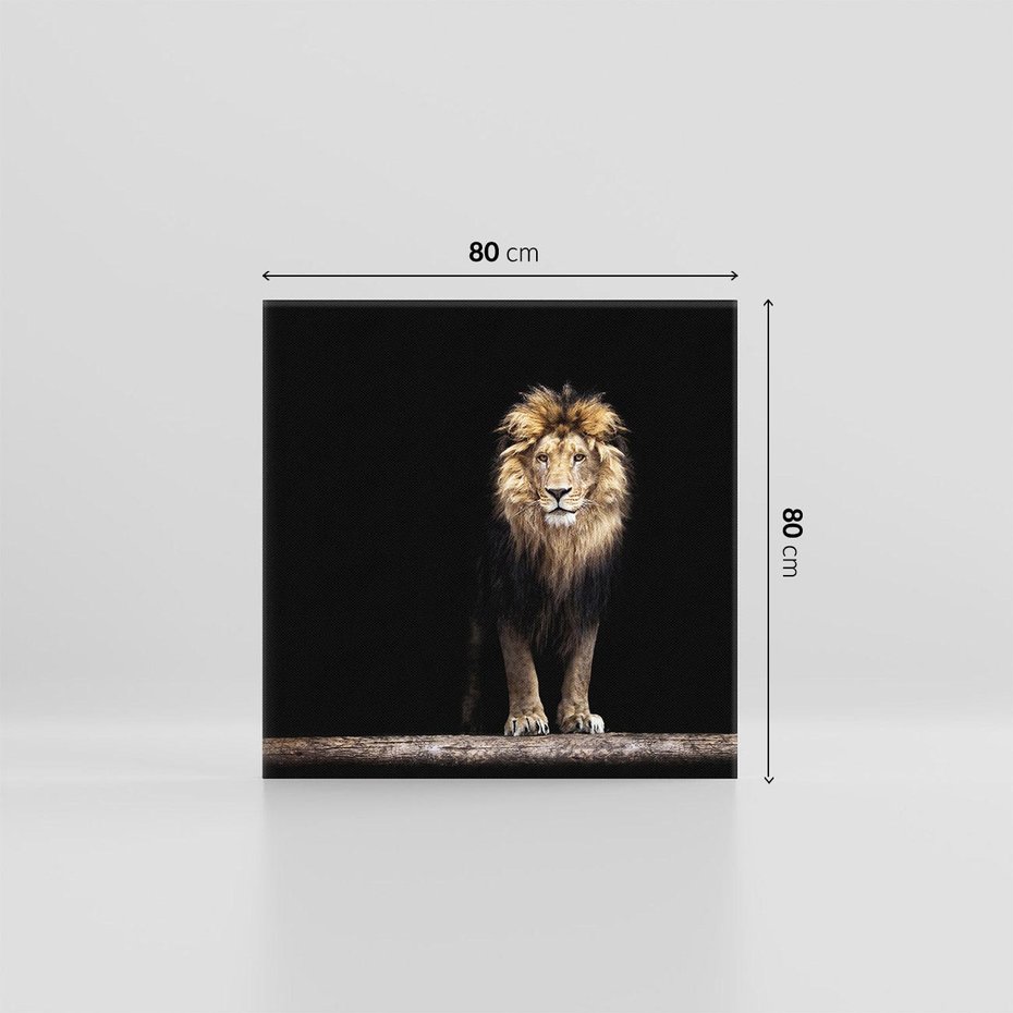 Obraz na płótnie 80x80 - Lew: dzikie piękno natury - lew, dzikie