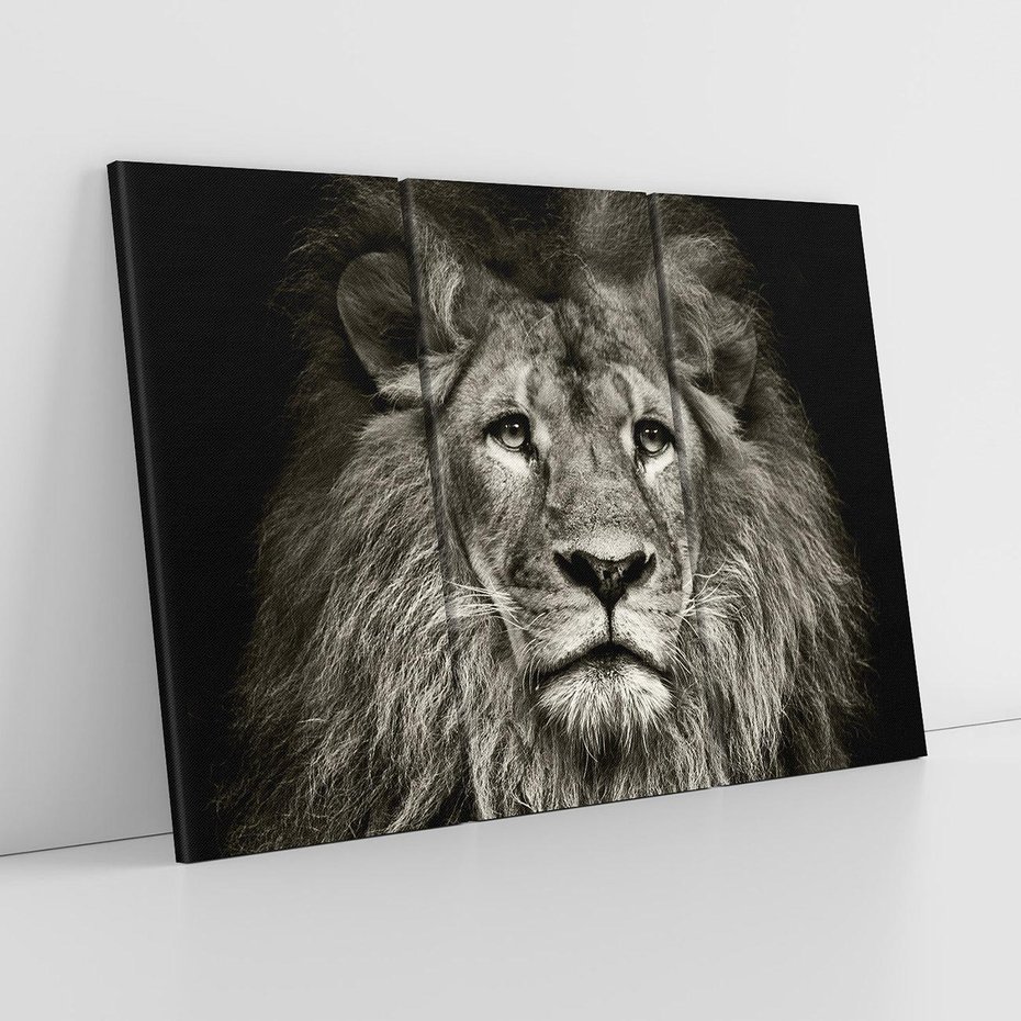 Obraz na płótnie 120x80 - Moc lewego spojrzenia - lew, czarno
