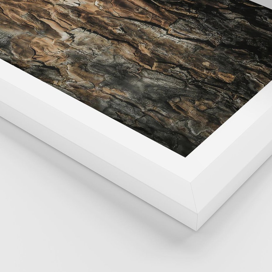 Plakat w ramie 50x70 - Tekstura Drewna: Zbliżenie - zbliżenie na pień drzewa, tekstura - rama biała