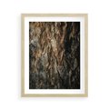 Plakat w ramie 40x50 - Tekstura Drewna: Zbliżenie - zbliżenie na pień drzewa, tekstura - rama drewno