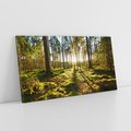 Obraz na płótnie 120x60 - Obfitość natury - las, drzewa