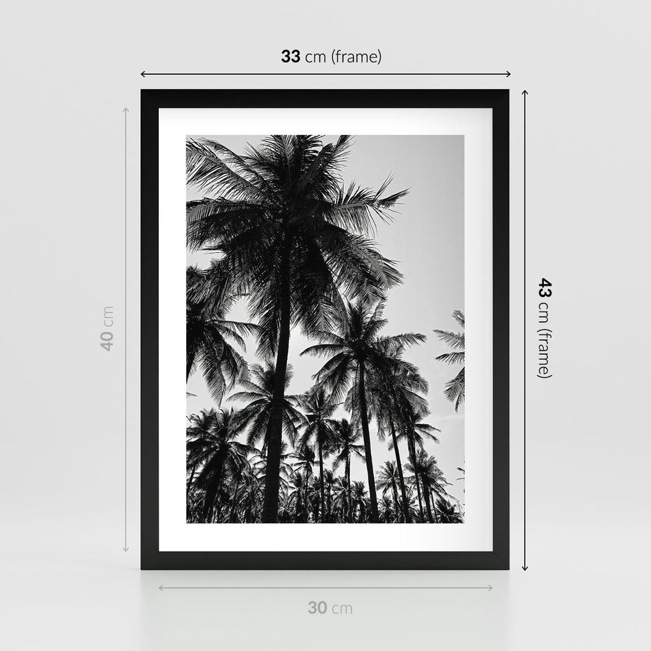Plakat w ramie 30x40 - Mono Tropiki - palmy, drzewa palmowe - rama czarna