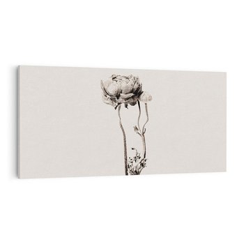 Obraz na płótnie 100x50 - Cień Kwiatowej Delikatności - kwiat, cień