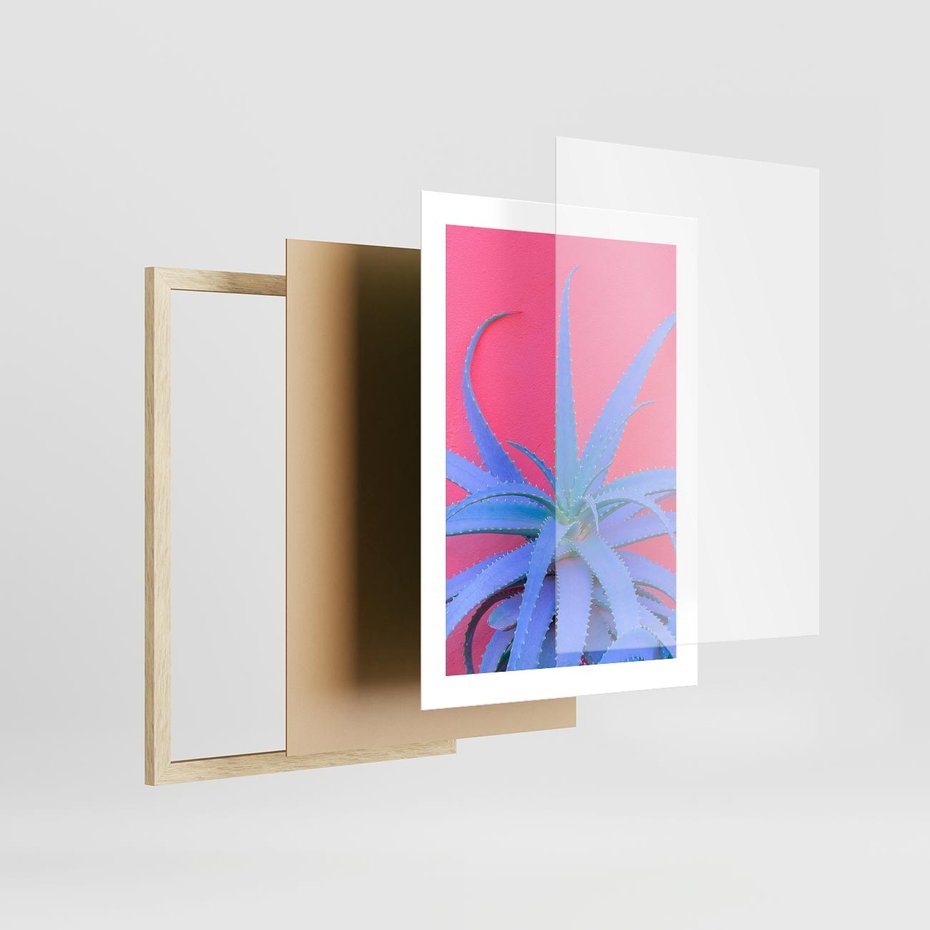 Plakat w ramie 30x40 - Piękno Pustyni - kaktusy, liście - rama drewno