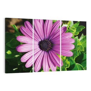 Obraz na płótnie 120x80 - Kwiatowy Dotyk - kwiat, kwiaty