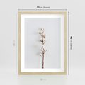 Plakat w ramie 30x40 - Minimalistyczna Gałązka Bawełny - bawełna, gałązka bawełny - rama drewno