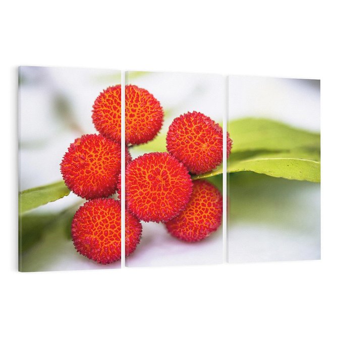 Obraz na płótnie 120x80 - Liczi Owoce - liczi, owoce