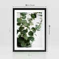 Plakat w ramie 30x40 - Zielone eukaliptusy - eukaliptus, liście - rama czarna
