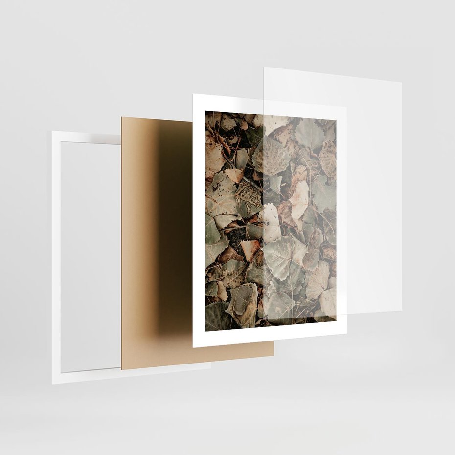 Plakat w ramie 40x50 - Magia Jesiennych Liści - liście, suche liście - rama biała