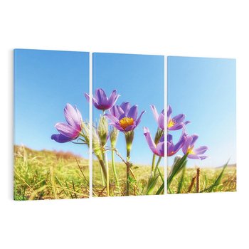 Obraz na płótnie 120x80 - Kwiatowa siła łąki - kwiaty, łąka