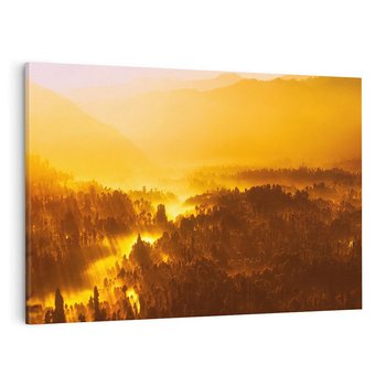 Obraz na płótnie 70x50 - Krajobraz leśny - las, drzewa