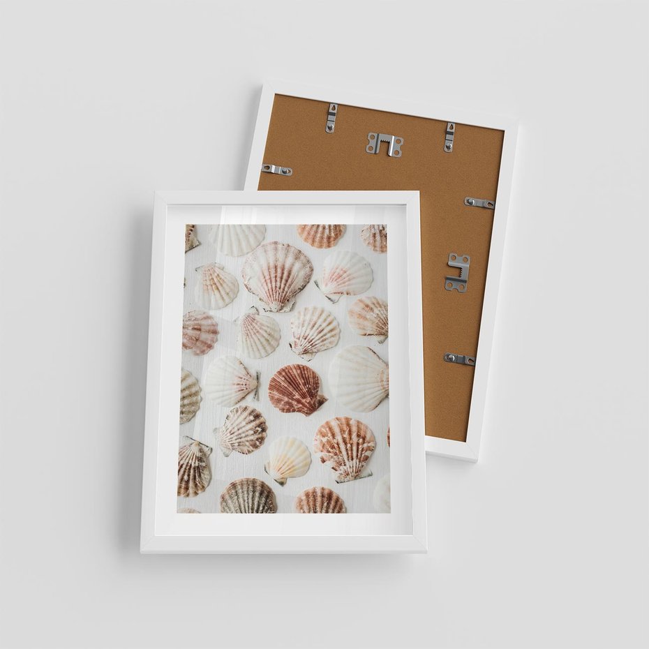 Plakat w ramie 30x40 - Morska Delikatność: Muszelki na Białym Tle - kompozycja, morskie muszelki na białym tle - rama biała