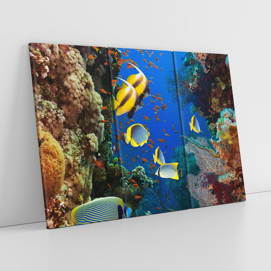 Obraz na płótnie 120x80 - Podwodne królestwo rafy koralowej - rafa, koralowa