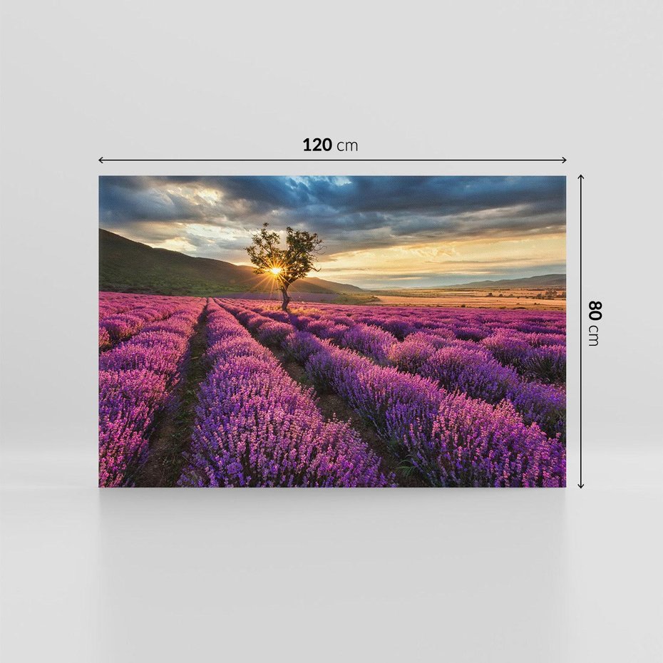 Obraz na płótnie 120x80 - Lawenda: Pachnący ogród natury - lawenda, kwiaty