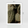 Plakat bez ramy 21x30 - Urok Egzotyki - kaktusy, boho