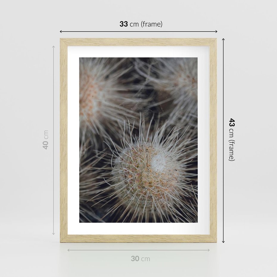 Plakat w ramie 30x40 - Ulotna Piękność Natury - makro, dmuchawce - rama drewno
