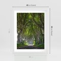 Plakat w ramie 40x50 - Magiczny Las - drzewa, las - rama biała