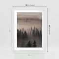 Plakat w ramie 30x40 - Mglista Opowieść Lasu - las, mgła - rama biała
