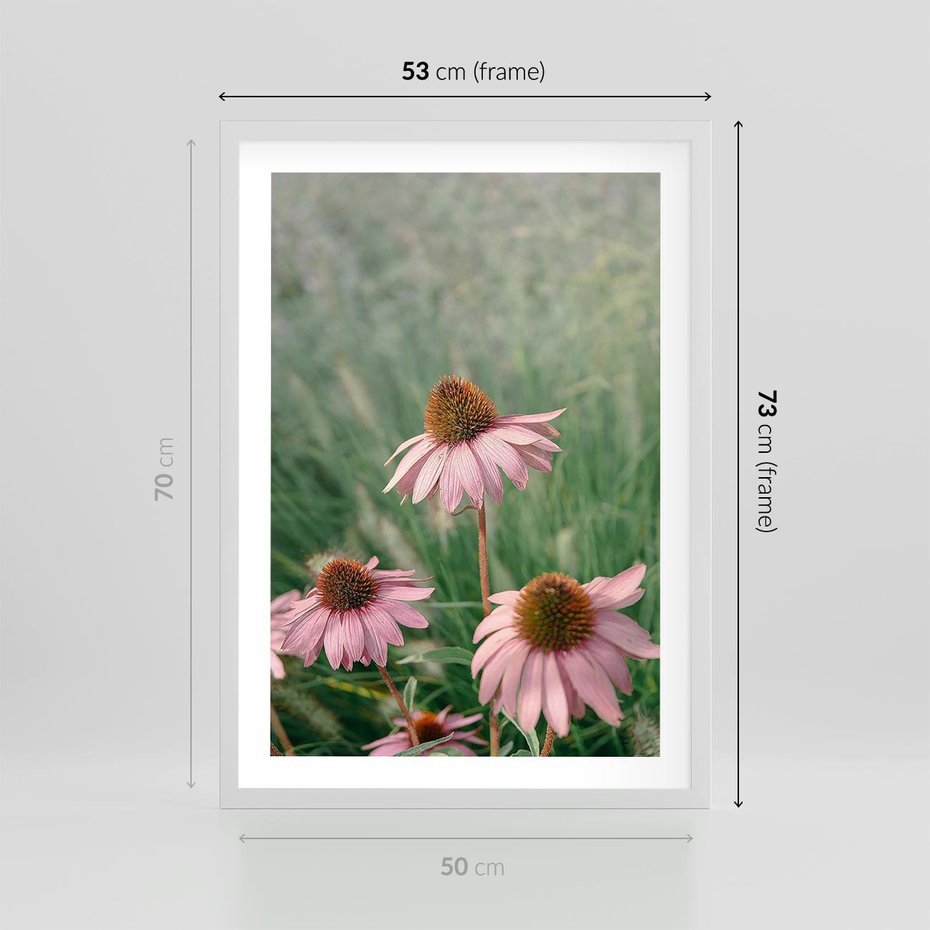 Plakat w ramie 50x70 - Natura w Pełnym Blasku - kwiaty na łące, różowe kwiaty polne - rama biała
