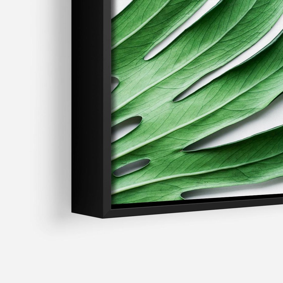 Obraz w ramie 50x50 - Monstera - Liście Kwiaty - monstera, liście - rama czarna