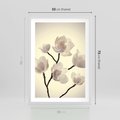 Plakat w ramie 50x70 - Elegancja Natury - magnolia, białe - rama biała